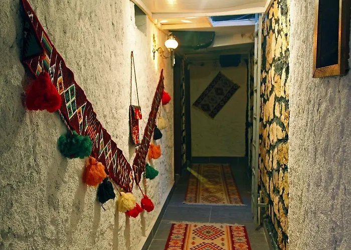 酒店 Dream Dalyan 2*